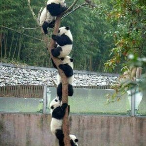 Meet your Posher, Jay